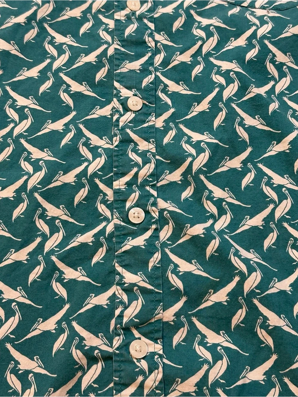 J. Crew fun crew